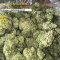 Top quality grade aaa buds available...+1(401)646-9233.