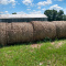 Are You Getting Ready To Look For Hay