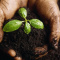 Get The Fund Through Funding Programs With Less Efforts