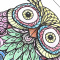 Owl Night Cleaners