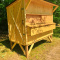 Chicken Coops