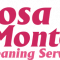 R Montes Cleaning Service, 20 Years Experience