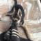Akc German Shepherd Puppy