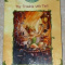 Disney Fairies Book ~ The Trouble with Tink ~ Kiki Thorpe (2006