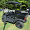 2020 NEW Big Horn UTV Dump Bed 200CC 9HP Gas 4 Stroke Engine