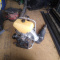Craftsman Backpack Blower