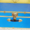 Trunk: Storage Trunk Or Chest Lock