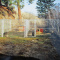 Dog kennel