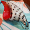Glass-Murano: Shell