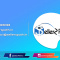 E-Commerce Business Assistance