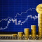 We will double your capital in 14 days.
