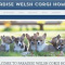 Welcome To Quality pembroke Welsh Corgi Home