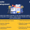 Website Development Services in USA | Ace Infoway