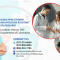 NURSE PRACTITIONER (NP)/PHYSICIAN ASSISTANT (PA)
