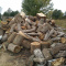 Firewood