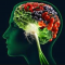 Food for Brain’s Health