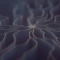 RPA Services | RPA Consulting Services