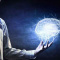 What is a nootropic? Find out Here!!!