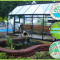 Hydroponics and Aquaponics System to Grow your own food