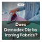 Does Demodex Die by Ironing Fabrics?