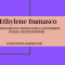Learn How to Start Your Own Online Business