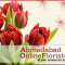 Order Flowers, Cakes and Gifts for your loved ones in Nadiad