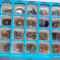 Earrings: 40+ For All 1 Low Price