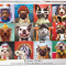 Lucia Heffernan: Funny Dogs (used 1000 PC jigsaw puzzle)