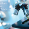 Early and Late Phase Clinical Trials Services
