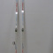 skis and poles