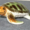 Miniatures Figurines