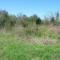 Lot two blocks north of Trammel Fresno