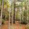 Vacant land in citrus county