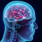 Eliminate Brain Fog & Enjoy Super-Human Focus With This One Thin