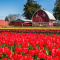 New Homes for Sale in Bozeman Mt