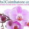 Send Amazing Mother’s Day Gifts to Coimbatore Online at Low Cost