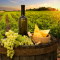 The Magical sensation of real Fine Wine