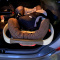FREE: Baby Stroller and Infant Car Seat