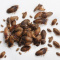 Dubias Roaches