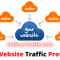 Best Website Traffic Providers