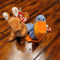 TT Beanie Babies Original, TY 2000, TY Beanie Babies and more