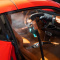 Half Detail Wax&Steam&Shampoo-Miami Total Steam Auto Detailing