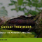 Bacterial Canker Treatment-Save your trees from Black Knot