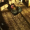 Tiny Serama Young Rooster
