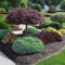 Landscaping Company