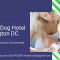 Dog Day Care - The Duncan Dog Hotel & Day Spa