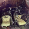 2019 set of Pearls Crystal transparent drum set
