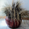 New - Silk Plant With Bamboo Base