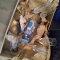 Box of Glass items