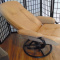 Chair, Leather recliner